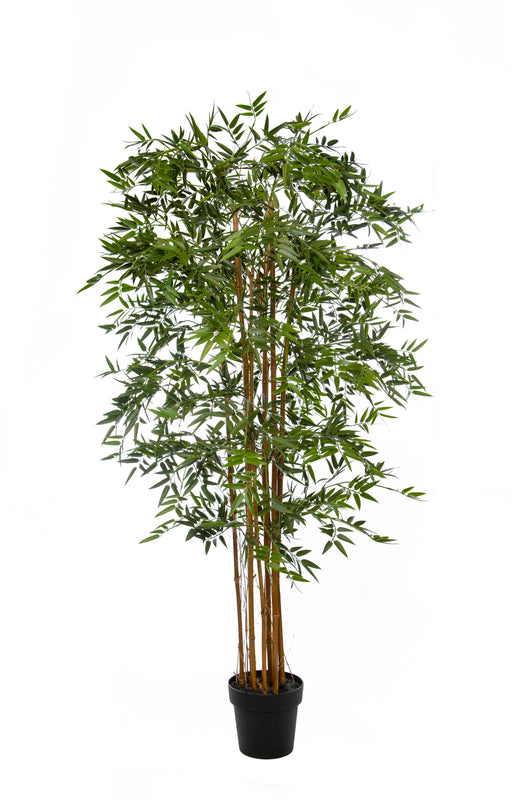 Artificial Bamboo Tree UV 180cm Artificial Elegance