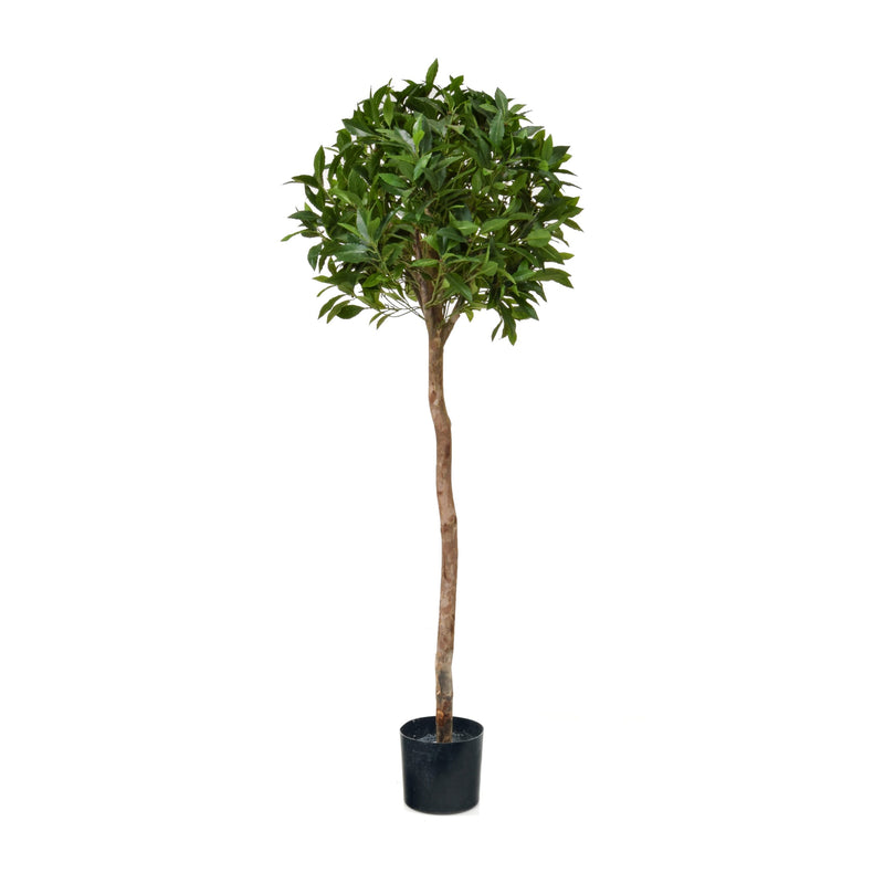 Artificial Laurel Bay Tree Artificial Elegance