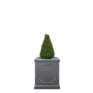 Chelsea Planter fitted with artificial Rosemary Tower Artificial Elegance