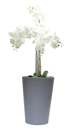 Artificial Phalaenopsis real touch Orchid in white in Grey planter Artificial Elegance