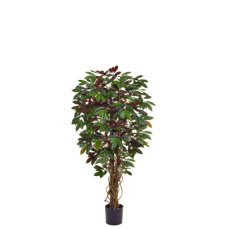 Artificial Capensia Deluxe Liana Tree 120cm Artificial Elegance