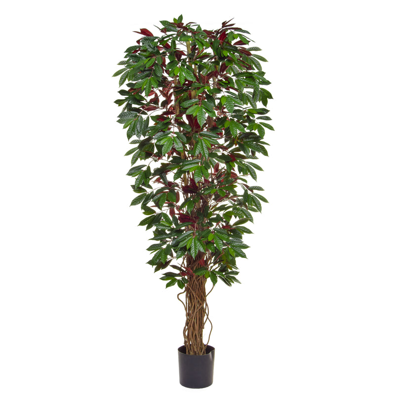 Artificial Capensia Deluxe Liana Tree 180cm Artificial Elegance