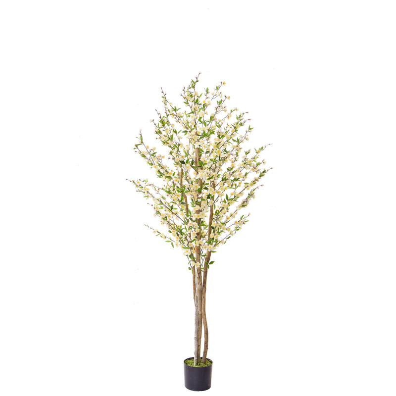 Artificial Cherry Blossom Tree in White 210cm Artificial Elegance