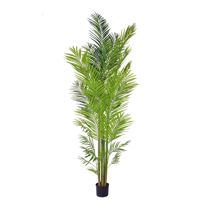 Artificial Palm Areca 240cm Artificial Elegance
