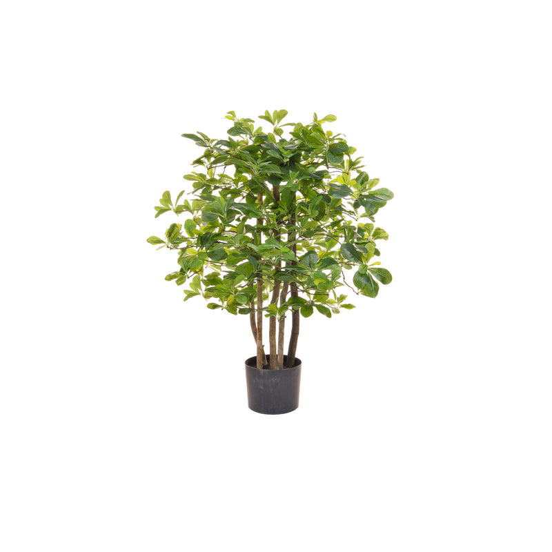 Artificial Schefflera Tree 90cm Artificial Elegance