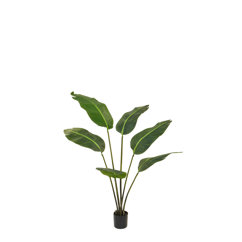 Artificial Birds of Paradise 120cm Artificial Elegance