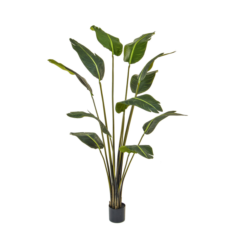 Artificial Birds of Paradise 180cm Artificial Elegance