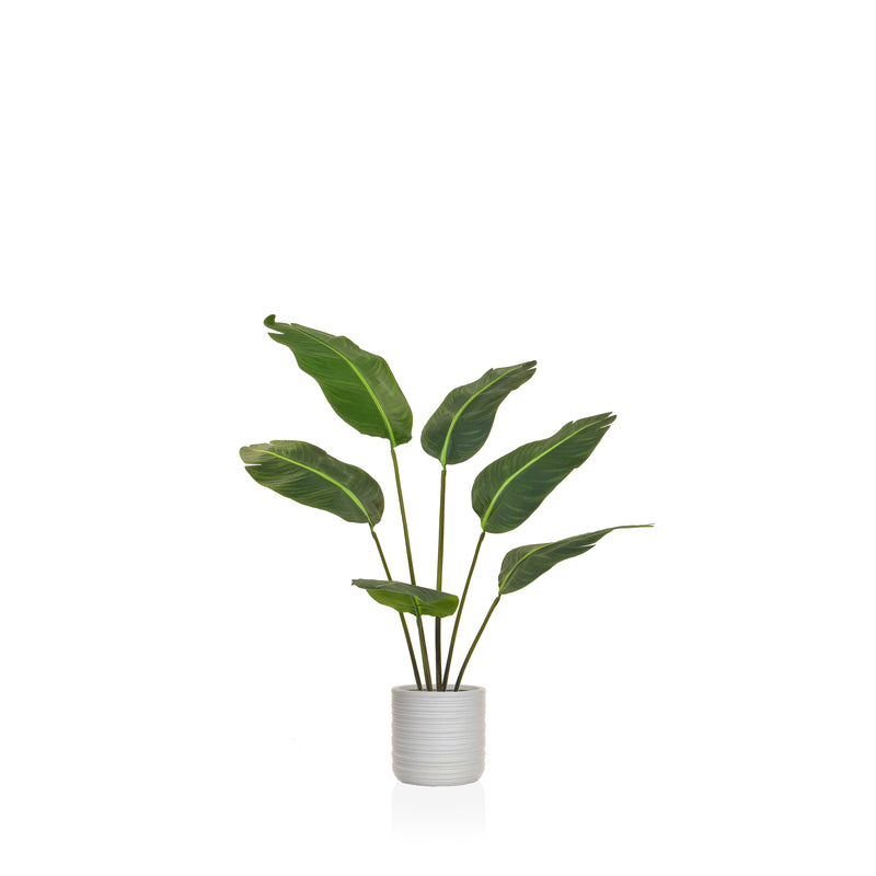 Artificial Birds of Paradise 120cm Artificial Elegance