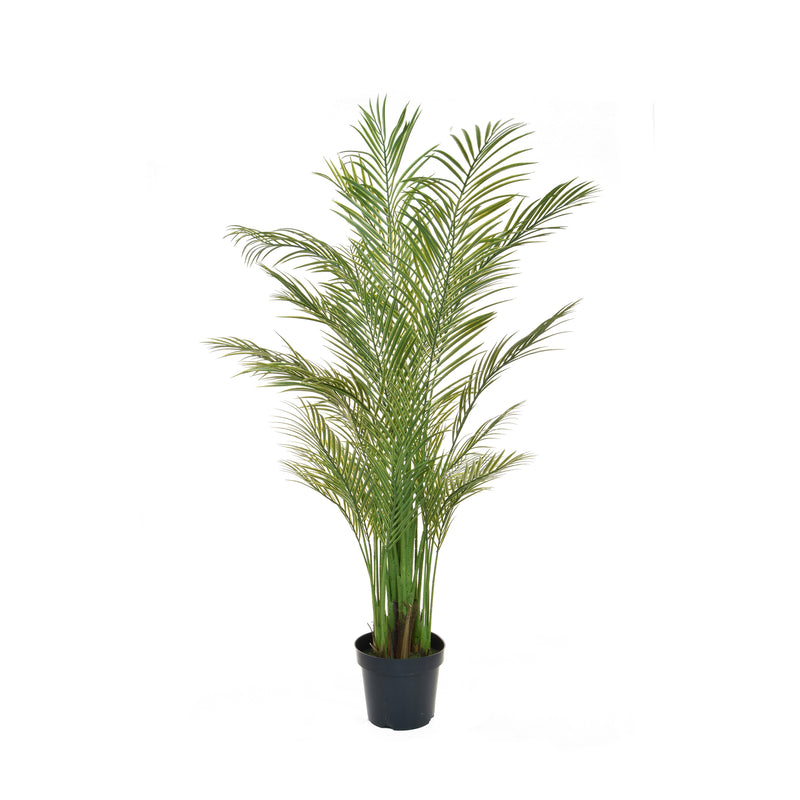 Artificial Palm Areca 180cm Artificial Elegance