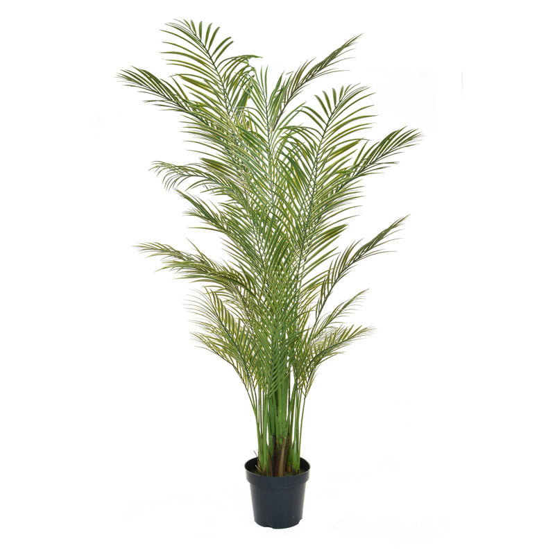 Artificial Palm Areca 210cm Artificial Elegance