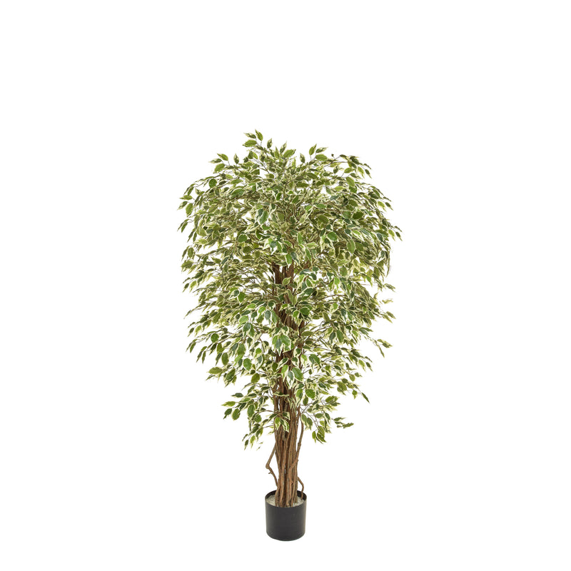 Artificial Liana Variegated Tree 150cm Artificial Elegance