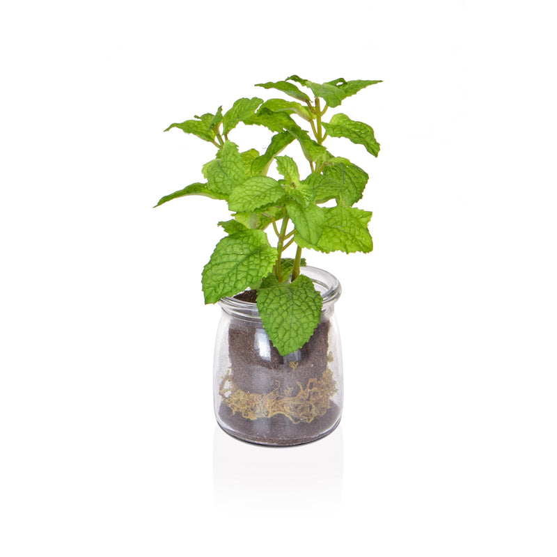 Artificial Mint in Glass Vase Artificial Elegance