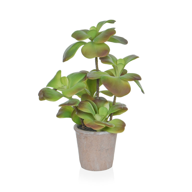 Artificial Succulent Red & Green in Paper Pot 47cm Artificial Elegance