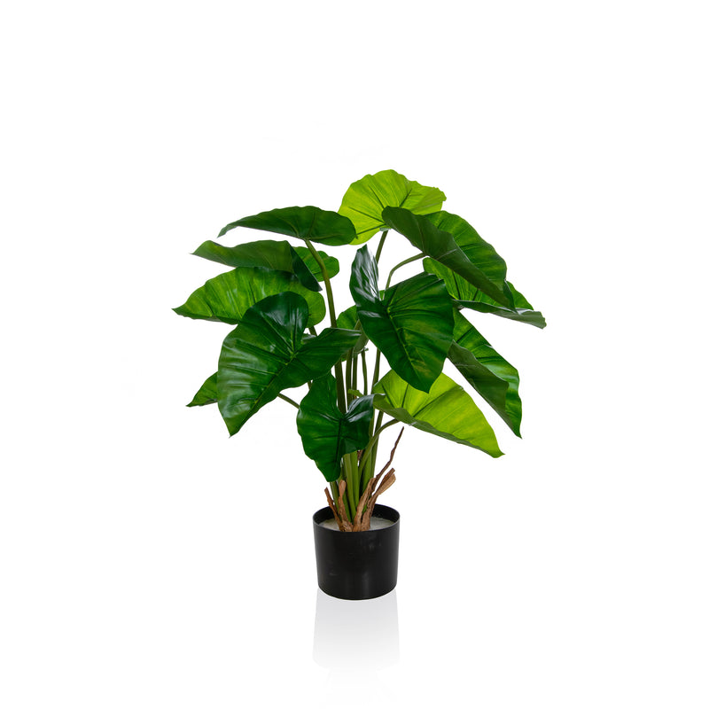Artificial Taro Plant Artificial Elegance