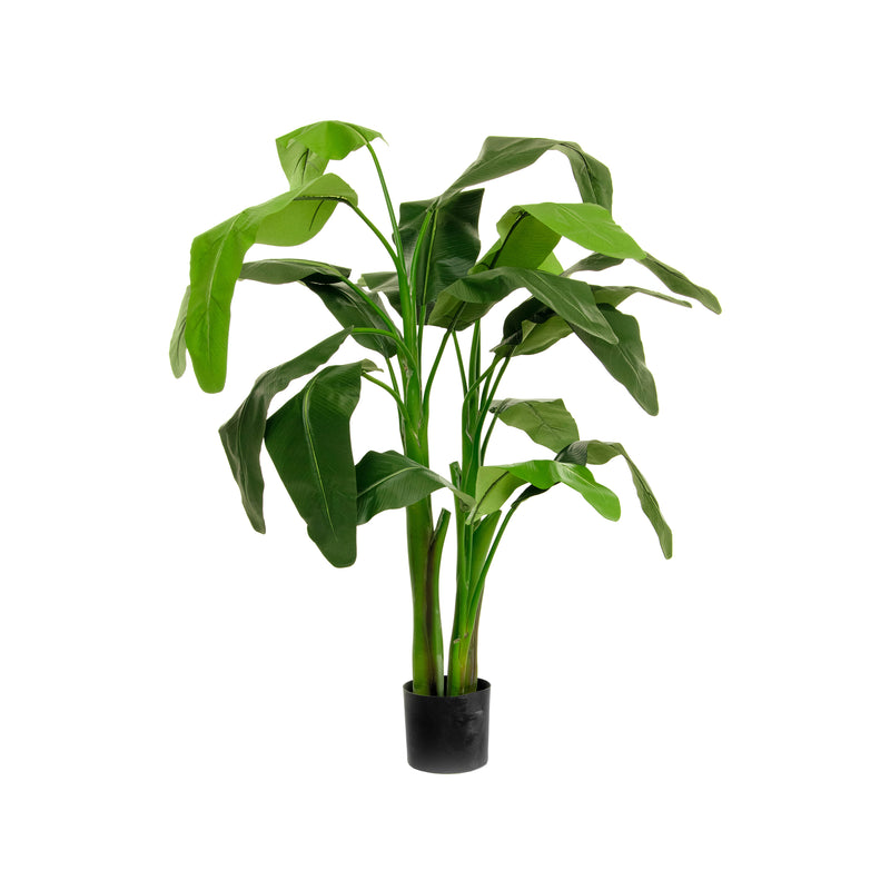 Artificial Musa Coccinea Plant Artificial Elegance