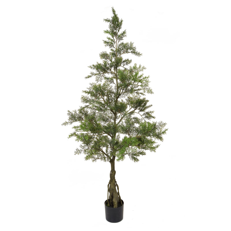 Artificial Cedar Bonsai 150cm Artificial Elegance
