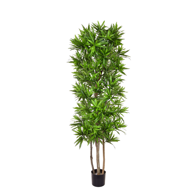 Artificial Dracaena Song of Jamaica Tree 180cm Artificial Elegance
