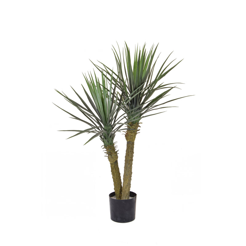 Artificial Yucca Rostrata Double Head Tree Artificial Elegance