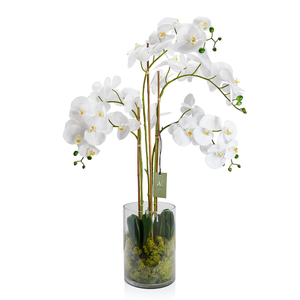 Artificial Phalaenopsis Moth Orchid in White, in Glass Vase Artificial Elegance