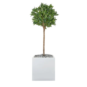 Cube/Square Planter fitted with artificial Laurel Bay Tree Artificial Elegance