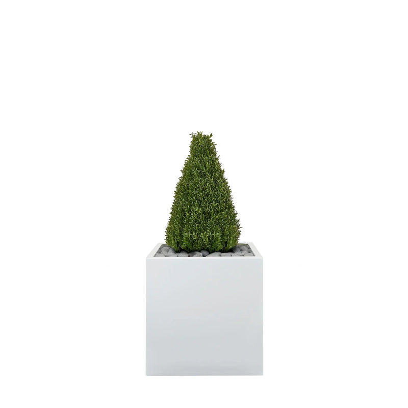 Cube/Square Planter fitted with artificial Rosemary Tower Tree Artificial Elegance