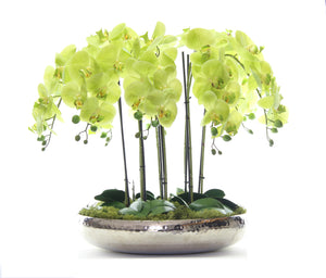 Artificial Orchid Green Real Touch Artificial Elegance