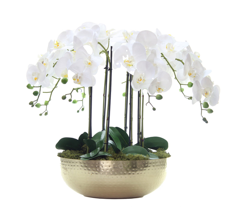 Artificial Phalalaenopsis Orchid arrangement in Gold Bowl Artificial Elegance