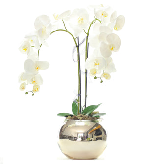 Artificial Orchid in Gold Bowl Artificial Elegance