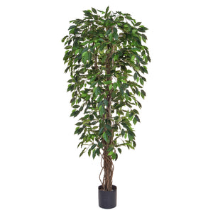 Artificial Ficus Liana Green Tree 180cm Artificial Elegance