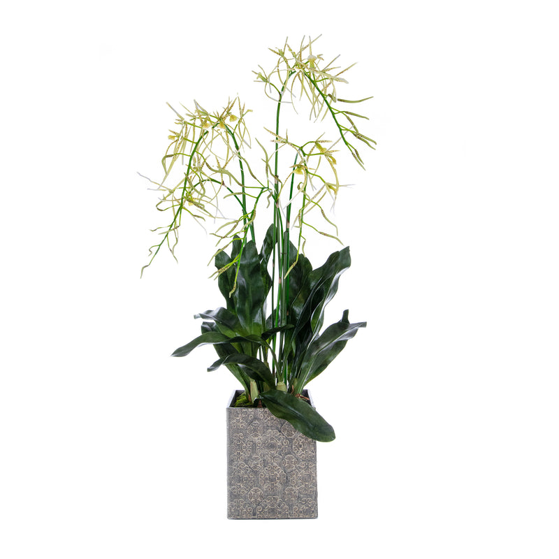 Artificial Brassia Orchid in Square Snow Pot Artificial Elegance