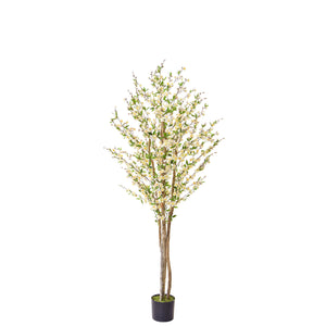 Artificial Cherry Blossom Tree in White 210cm Artificial Elegance