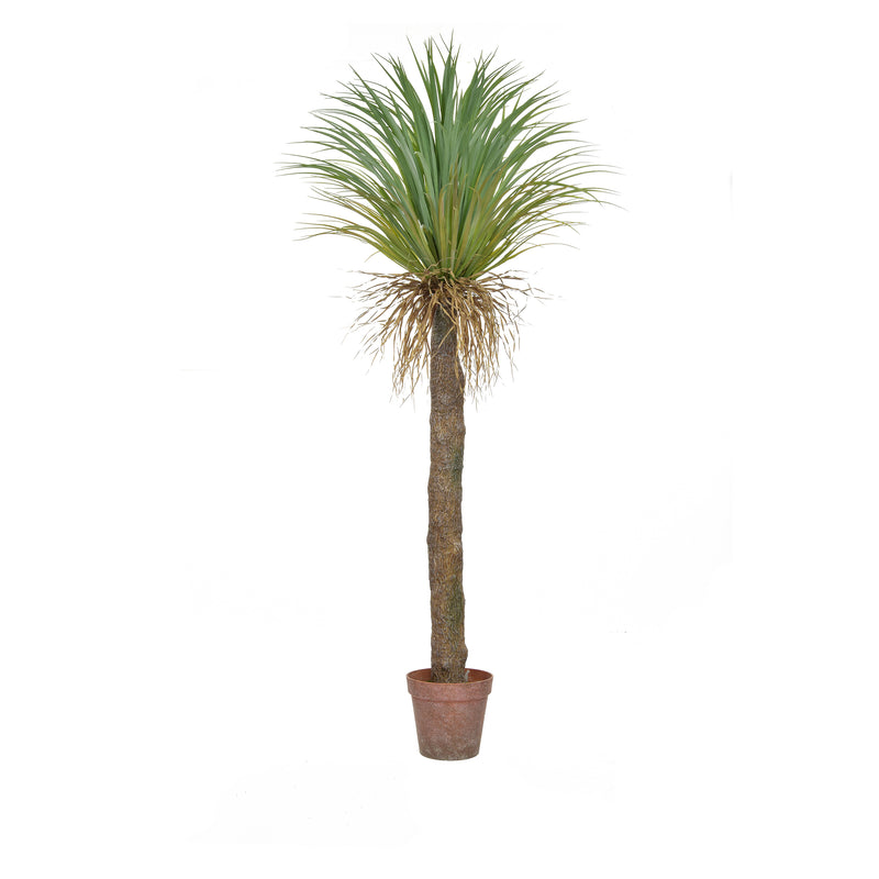 Artificial Cycas Palm in Brown Pot 180cm Artificial Elegance