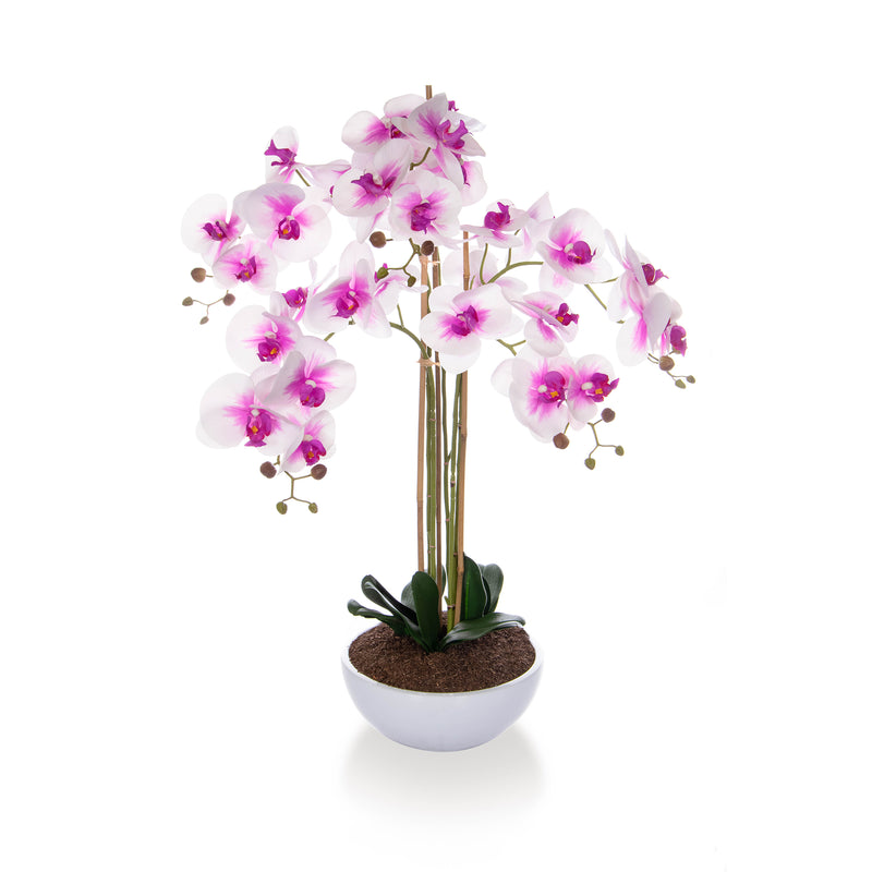 Artificial Phalaenopsis Moth Orchid in White & Pink Artificial Elegance