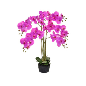 Artificial Phalaenopsis Moth Orchid in pink Artificial Elegance