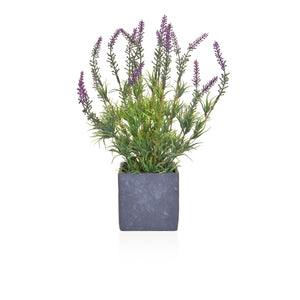 Artificial Lavender in Slate Pot 36cm Artificial Elegance