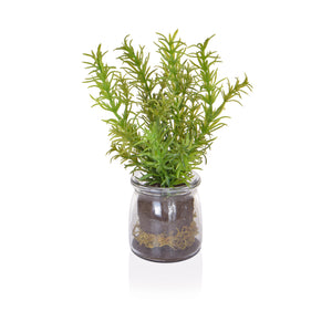 Artificial Rosemary in Glass Vase Artificial Elegance