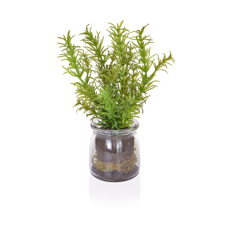 Artificial Rosemary in Glass Vase Artificial Elegance