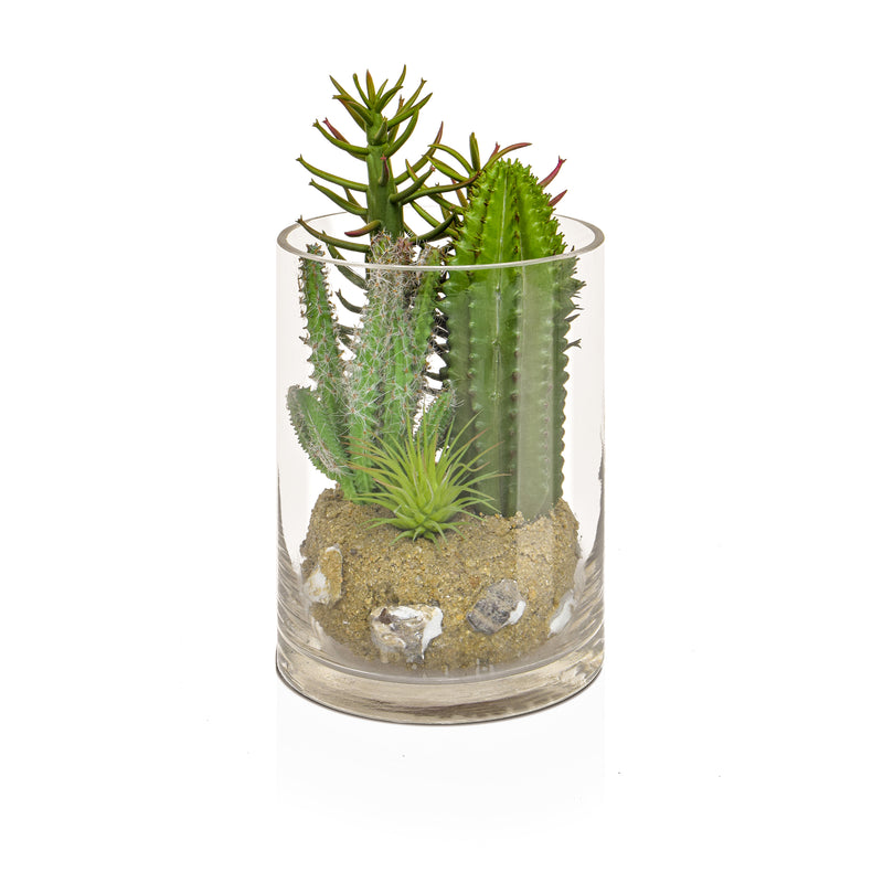 Artificial Cactus mix in Glass Vase 20cm Artificial Elegance