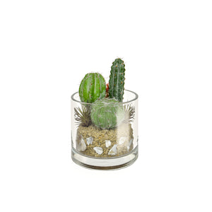 Artificial Cactus Green & Red mix in Glass Vase 20cm Artificial Elegance