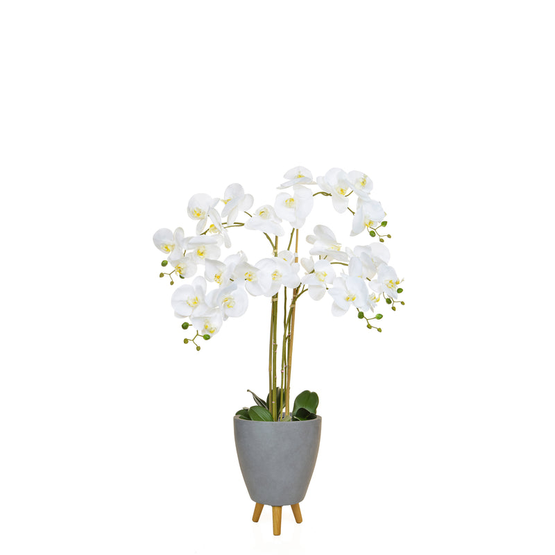 Artificial Phalaenopsis Moth Orchid in White Artificial Elegance
