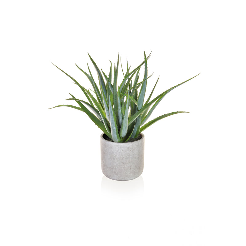 Artificial Aloe Vera Green in Pot 52cm Artificial Elegance