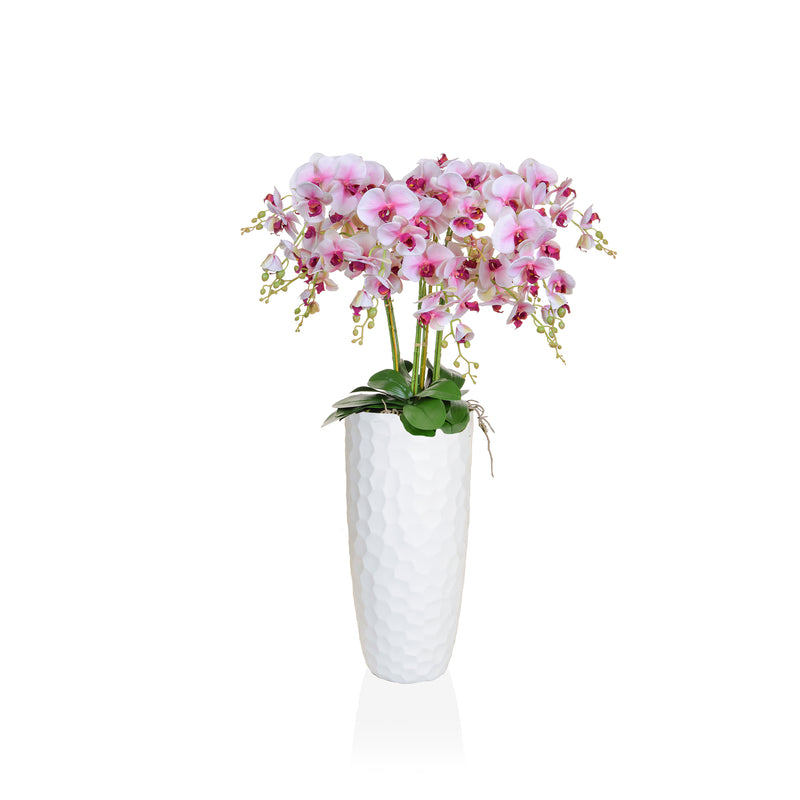 Artificial Phalaenopsis Orchid Real touch Pink & White in moss mound 90cm Artificial Elegance