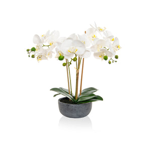 Artificial Phalaenopsis Orchid in White, in Pre-Potted bowl Artificial Elegance