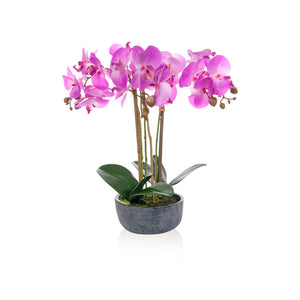 Artificial Phalaenopsis Orchid in Pink, In Pre-Potted bowl Artificial Elegance