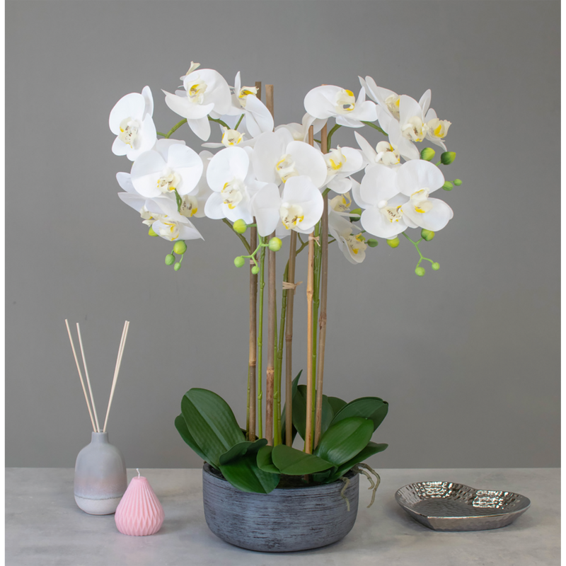 Artificial Phalaenopsis Orchids in White, in Pre-Potted bowl Artificial Elegance