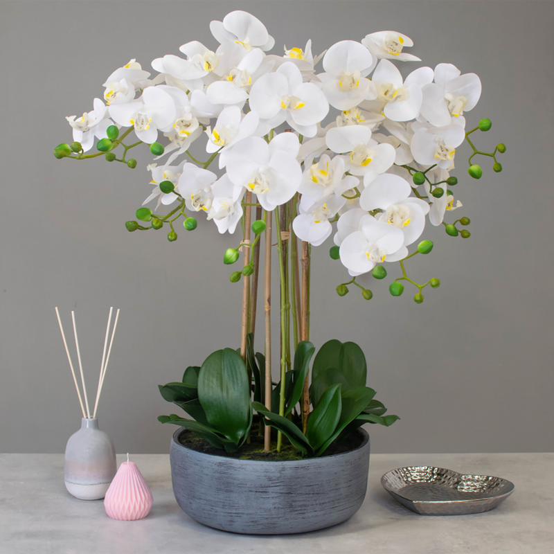 Artificial Phalaenopsis Orchid in white, Pre-potted in bowl Artificial Elegance