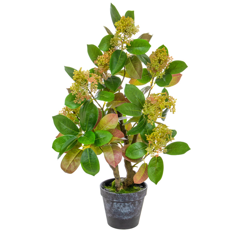 Artificial Skimmia Red/Pink in Pot Artificial Elegance