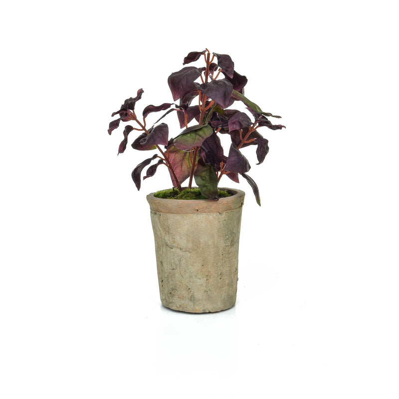 Artificial Basil Herb Plant in Burgundy 28cm Artificial Elegance