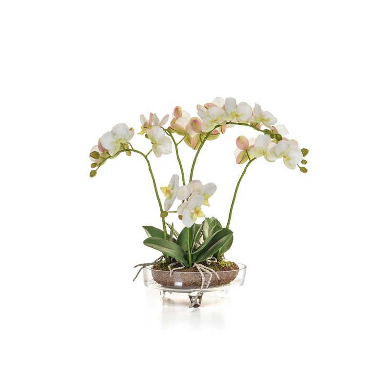 Artificial Phalaenopsis Orchid in white in Glass Bowl Artificial Elegance
