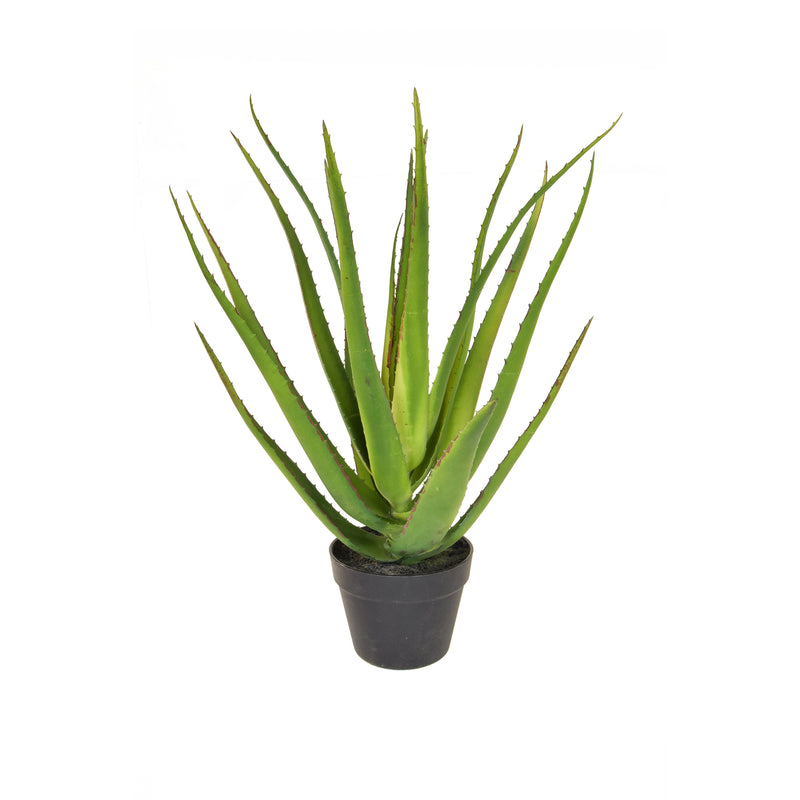 Artificial Aloe Vera in Pot 58cm Artificial Elegance